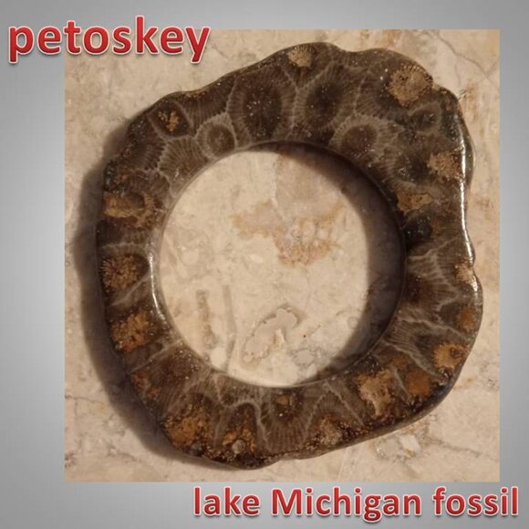 LAKE MICHIGAN stone coral fossil polished rock PETOSKEY - Picture 1 of 5
